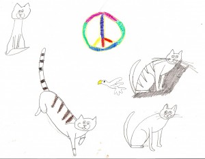 Cats-n-peace