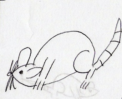 Mouse Sketch