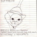 Burmese Cat Hunting