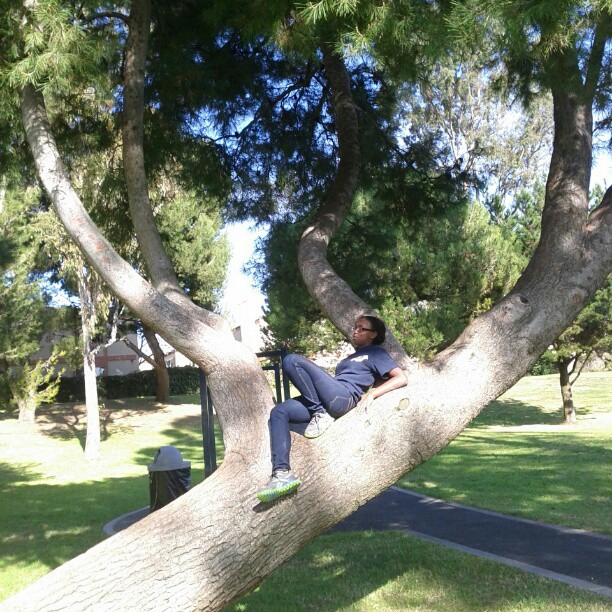 I'm in a treeeeeee :D