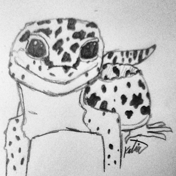 Well, I tried to draw Rhombus. It looks alright I guess. A little durpy, but still ok.