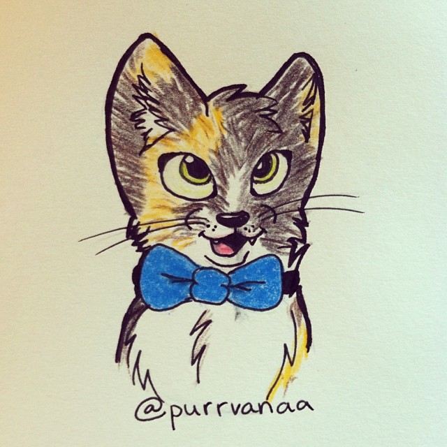For @purrvanaa it's her cat :3