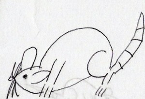 mousesketch.jpg