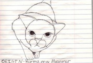 Hunting Burmese 1