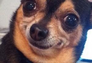 a2c9e90890f511e29c2922000a9e48da_7